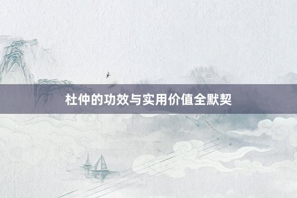 杜仲的功效与实用价值全默契