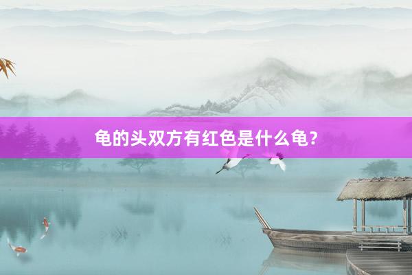 龟的头双方有红色是什么龟？