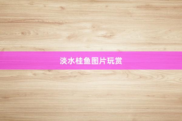淡水桂鱼图片玩赏