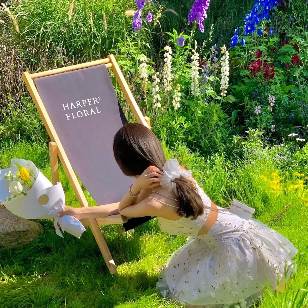 上岸第一剑先斩意中人